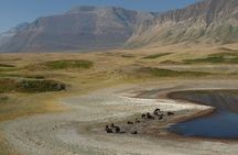 Waterton Lakes National Park | Private Exclusive Tour