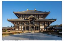 Nara Afternoon Tour (Round Trip from Kyoto)