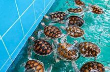 Khao Lak Expedition from Phuket