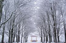 Nami Island & Petite France with Italian Village One-Day Tour 