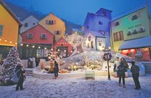 Korea's Must-See: Painters & Rail Bike & Nami & Petite France