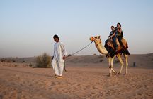 Hatta City Tour with Dinner in the Desert