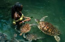 Full Day Private Zanzibar Tour with Sunset Beach