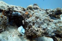 Full Day Private Zanzibar Tour with Sunset Beach