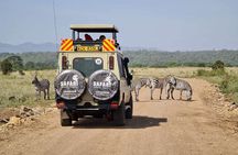3 Days 2 nights Group joining Midrange Safari Tour in Masai maraa