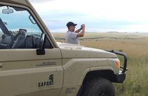 3 Days 2 nights Group joining Midrange Safari Tour in Masai maraa