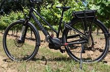 Full day E-Bike rental in the Alpilles