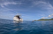 DiveCarib - An Eco-Friendly Certified Diver Trip in Antigua
