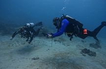 DiveCarib - An Eco-Friendly Certified Diver Trip in Antigua