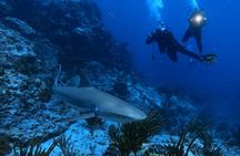 DiveCarib - An Eco-Friendly Certified Diver Trip in Antigua