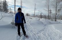 1-day Private Snowshoe Hike in the Gorce Mountains near Krakow