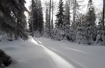 1-day Private Snowshoe Hike in the Gorce Mountains near Krakow