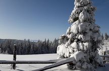 1-day Private Snowshoe Hike in the Gorce Mountains near Krakow
