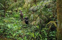 4 Days Deep Jungle Experience