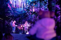 Vallea Lumina Multimedia Evening Experience