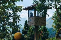 Half-Day Private Tour of Colombia's Pablo Escobar