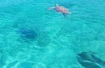 Honor Roll Private Bahamas Boat Charter