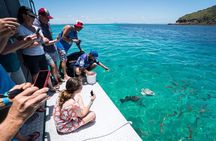 Great Keppel Island Glass Bottom Boat Tour & Ferry Transfer