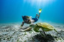 Great Keppel Island Glass Bottom Boat Tour & Ferry Transfer