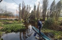 Pre-Hispanic Xochimilco and ajolotario. Private Ecotour.