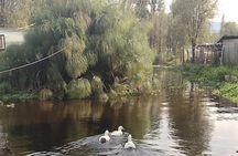 Pre-Hispanic Xochimilco and ajolotario. Private Ecotour.