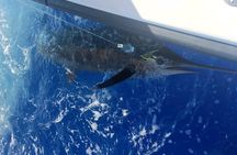 6 Hour Private Fishing Charter Kona, Hawaii