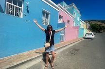 Cape of Good Hope>Cape Point>Penguins & Wine Tasting