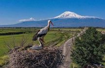 Private Day Trip to Khor Virap, Areni & Noravank