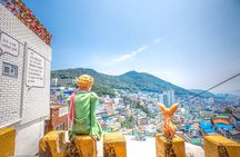 Busan Gyeongju Customizable Private Taxi or Van Tour (up to 8pax)