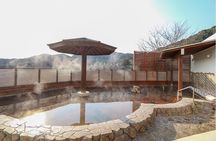 Japan's Dazaifu,Nanzoin and Mountaintop Full Day Private Tour
