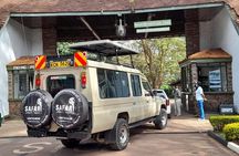 Half-Day National Wildlife Safari Private Tour in Nairobi