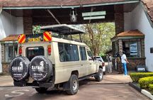 Half-Day National Wildlife Safari Private Tour in Nairobi