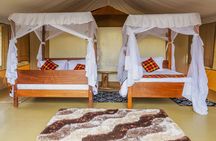3 Days Best of MasaiMara Wildlife Private Safari, Mid-Range offer