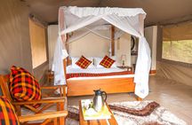 3 Days Best of MasaiMara Wildlife Private Safari, Mid-Range offer