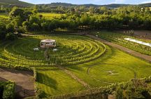 Best Winery with Restaurant and wine tasting from Florence