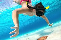 Cozumel Private Snorkeling and Charter Experience