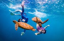 Full Day Snorkeling with Turtles in Sharm El Naga from Hurghada