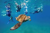 Full Day Snorkeling with Turtles in Sharm El Naga from Hurghada