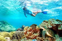 Full Day Snorkeling with Turtles in Sharm El Naga from Hurghada
