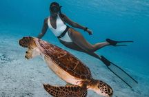 Full Day Snorkeling with Turtles in Sharm El Naga from Hurghada