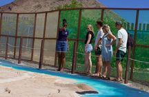 Exclusive Sal Island - Full Day Personalized for You