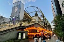 Private Walking Tour in Tokyo - Perfect for First-Time Visitors