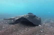 Discover Scuba Diving in Costa Calma
