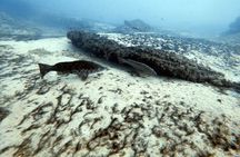 Discover Scuba Diving in Costa Calma