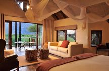 1 Night Madikwe Game Reserve