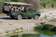 1 Night Madikwe Game Reserve
