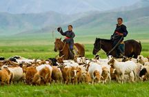 8 Days / 8 Lake area Central Mongolian horse trekking