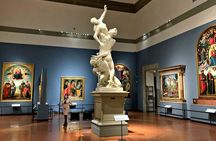 Guided Gallery Art Tour in Accademia of Florence