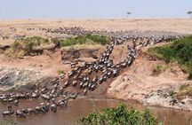 4-Day Serengeti, Ngorongoro & Tarangire Private Camping Tour