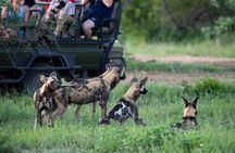 4-Day Serengeti, Ngorongoro & Tarangire Private Camping Tour
